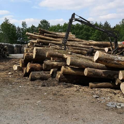 Camion de 20m3, Hêtre Chêne Charme en grume – Image 3