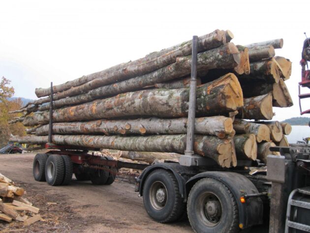 Camion de 50m3 , Chêne en grume